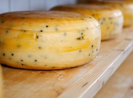 Сыр c тмином. Фото