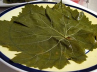 Виноградные листья консервированные. Фото