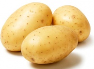 Картофель. Фото