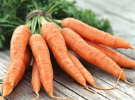 Морковь. Фото
