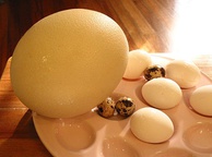 Гусиное яйцо. Фото