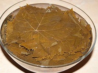 Виноградные листья консервированные. Фото