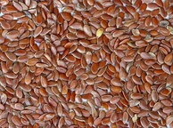 Семена льна. Фото