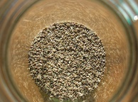 Семена сельдерея. Фото