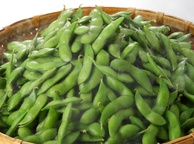 Зеленые соевые бобы. Фото