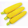 Сладкая кукуруза (желтая)
