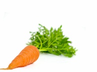 Морковь. Фото