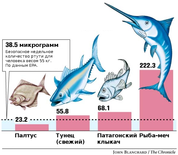 Ртуть в морской рыбе